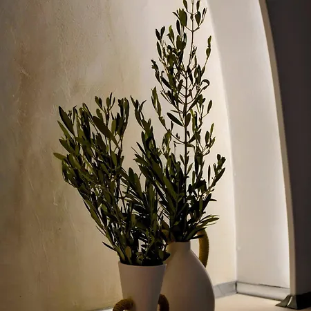 Bella Vista Ii Appartement