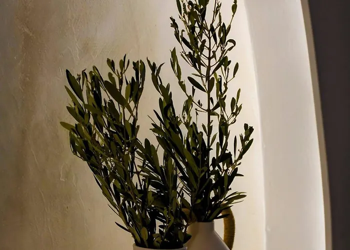 Bella Vista Ii アパート