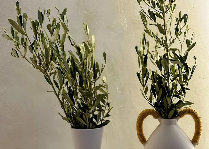 Bella Vista Ii Appartement Sými